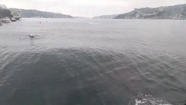 İstanbul Boğazı'nda Dalgalar Yükseldi: Ne Oluyor?
