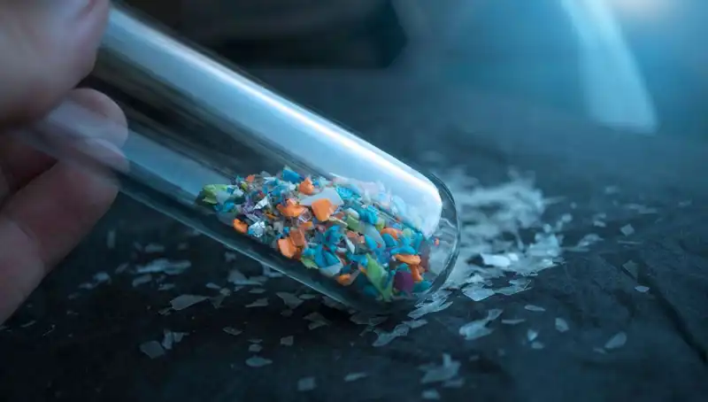 Mikroplastikler, İnsan Beyninde Belirgin Etkiler Yaratıyor: Bilim Dünyası Uyarıyor