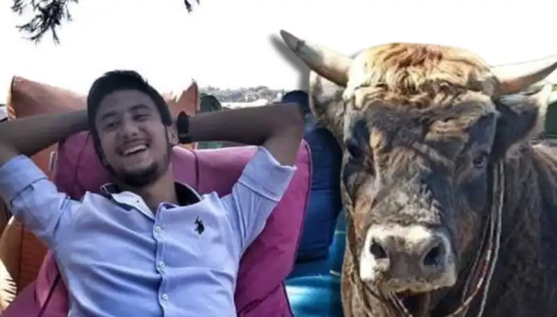 Aydın'da Güreş Boğası Can Aldı: Olayın Ayrıntıları ve Tepkiler