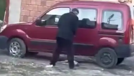 Sokakta Köpeğe Şiddet Uygulayanların Cezası Ne Olacak?