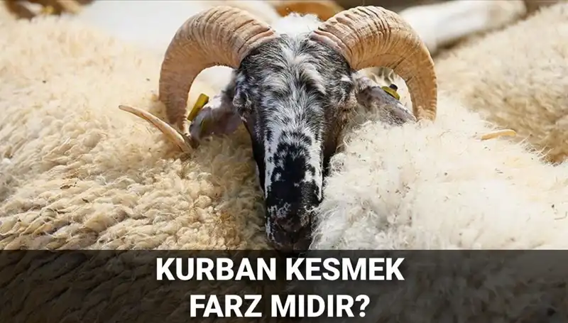Kurban Kesmek Farz mı? Diyanet'ten Açıklayıcı Bilgiler!
