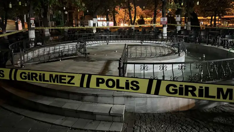 Kırklareli'nde Güzelim Süs Havuzu, Hastanelik Olmasına Neden Oldu!