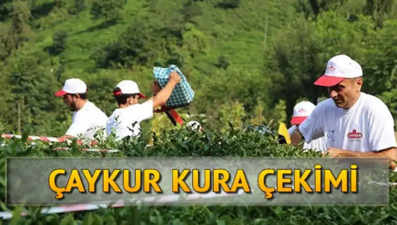 Çaykur Canlı Kura: İsim Listesini Öğrenmenin Kolay Yöntemleri