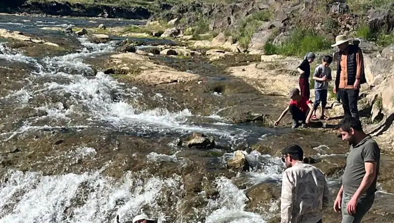 İnci Kefali Göçü: Binlerce Kilometre Uzaklıkta Turistlerin Gözdesi
