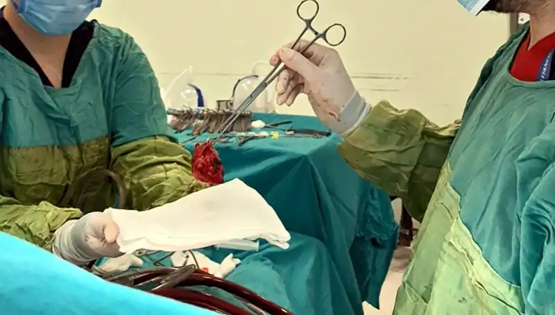 Kalp Kapağındaki Çürük, 7 Saatlik Ameliyat Sonrası Hayat Kurtarıldı