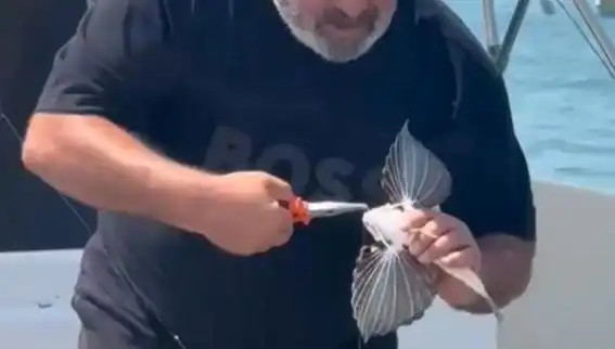 Saros Koyunda Eşsiz Bir Keşif: Nadir Görülen Kırlangıç Balığı Oltaya Takıldı!