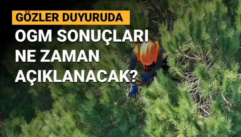 Gözler OGM Personel Alımında: 3 Bin 477 Sözleşmeli İşçi Sonuçları Ne Zaman Açıklanacak?