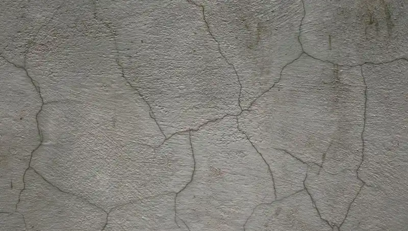 Canlı Beton İcat Edildi: Geleceğin İnşaat Malzemesi mi?