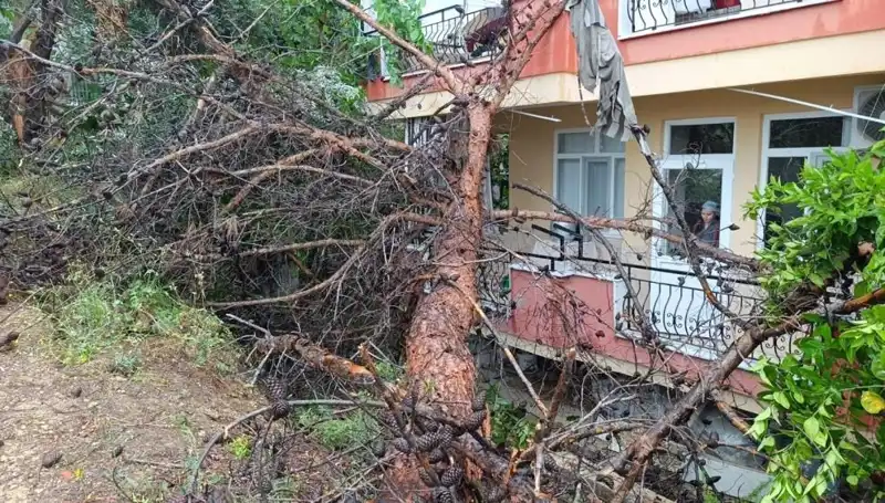 Yağmurdan Kaçış Yok: Dev Bina Aniden Devrildi!