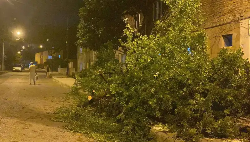 Karabük'te Şiddetli Fırtına Hayatı Olumsuz Etkiledi: Neler Yaşandı?