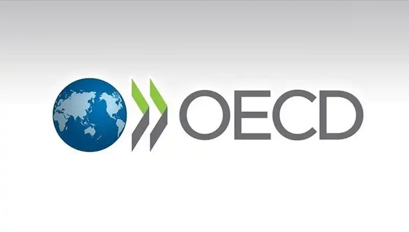 OECD, Türkiye'nin Ekonomik Büyüme Tahminini Güncelledi: 2023 Beklentileri